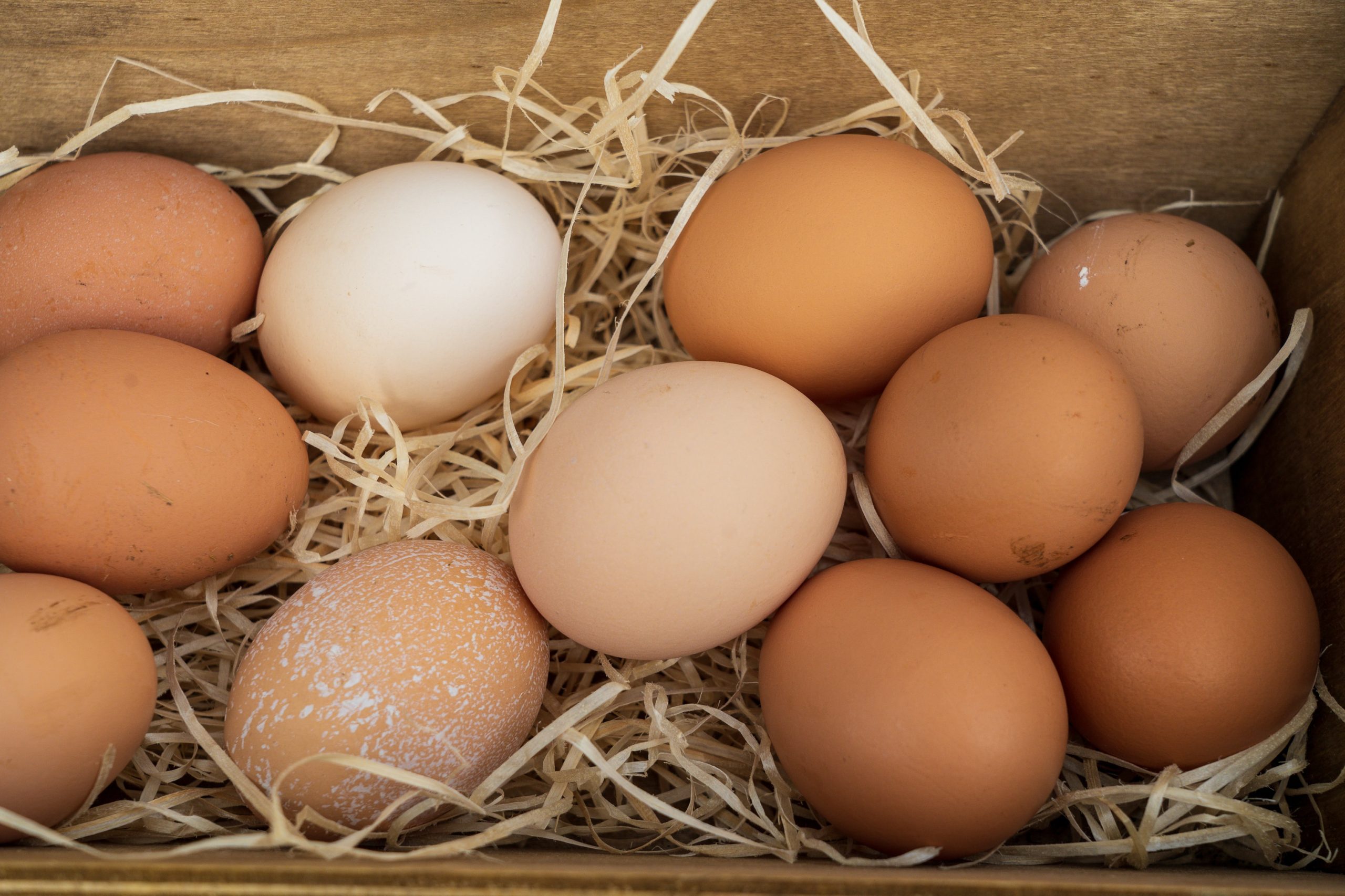 brown eggs in a bed of straw